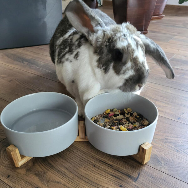 Ceramiczne miski dla psa kota na stojaku - na karmę i wodę - obrazek 4